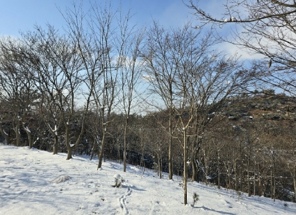 전북특별자치도 군산시 옥구읍 선제리 639-4 외 2필지 단독주택 경매 사진 9