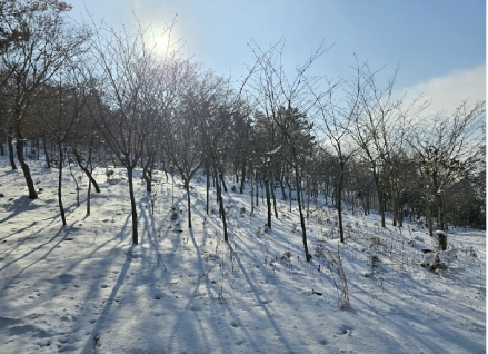 전북특별자치도 군산시 옥구읍 선제리 639-4 외 2필지 단독주택 경매 사진 10
