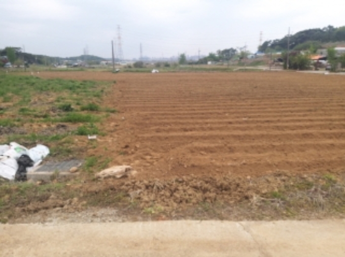 충청남도 당진시 송악읍 월곡리 95-3 외 3필지 전 경매 사진 14