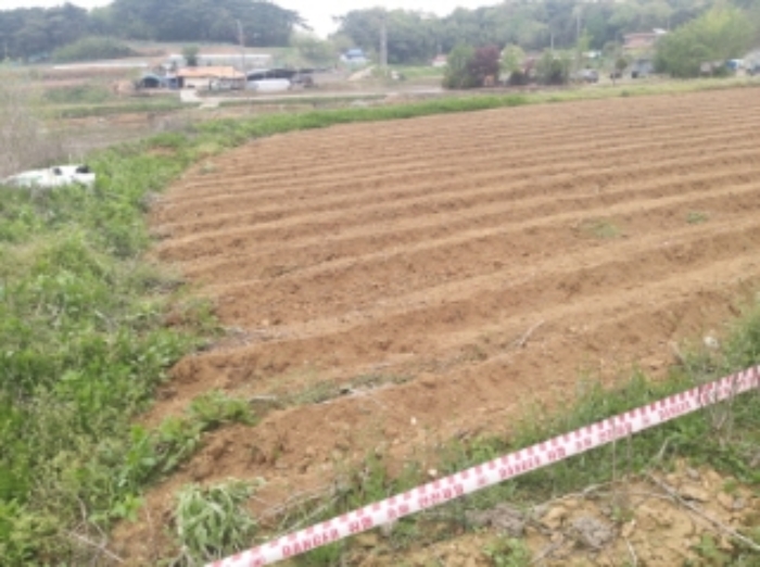 충청남도 당진시 송악읍 월곡리 95-3 외 3필지 전 경매 사진 6