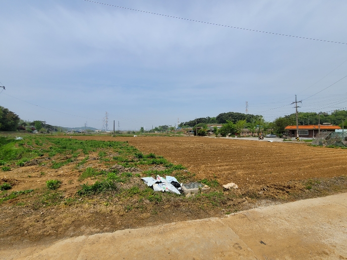 충청남도 당진시 송악읍 월곡리 99-1 외 1필지 답 경매 사진 19