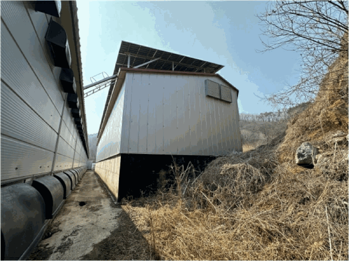 강원특별자치도 철원군 철원읍 율이리 242-3 외 4필지 동물및식물관련시설 경매 사진 35