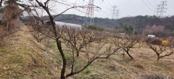 경기도 양주시 장흥면 삼하리 376-2 전답 경매 사진 1