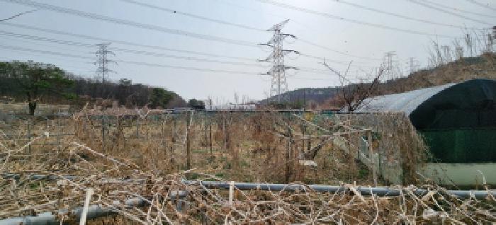 경기도 양주시 장흥면 삼하리 376-2 전답 경매 사진 2