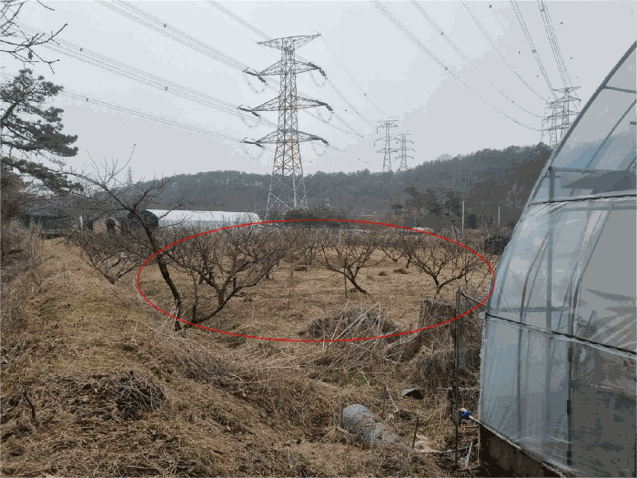 경기도 양주시 장흥면 삼하리 376-2 전답 경매 사진 11