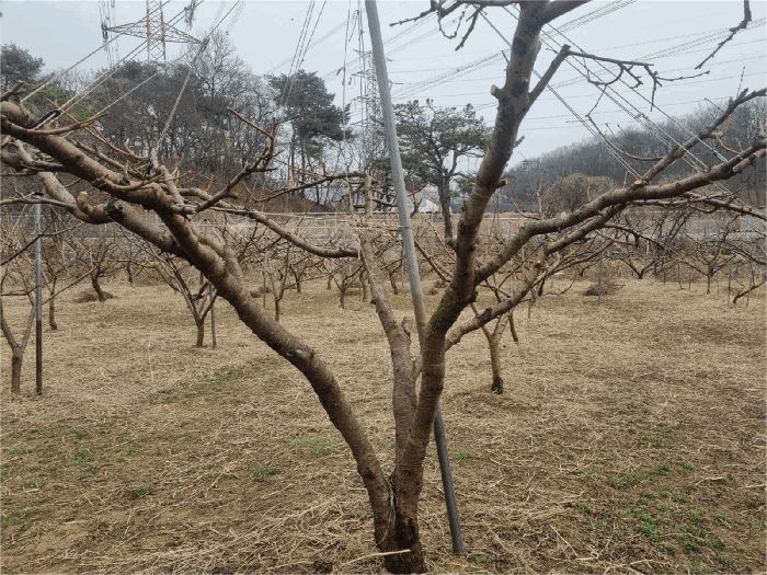 경기도 양주시 장흥면 삼하리 376-2 전답 경매 사진 9