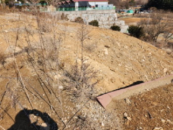 경기도 동두천시 탑동동 747 외 1필지 전 경매 사진 8