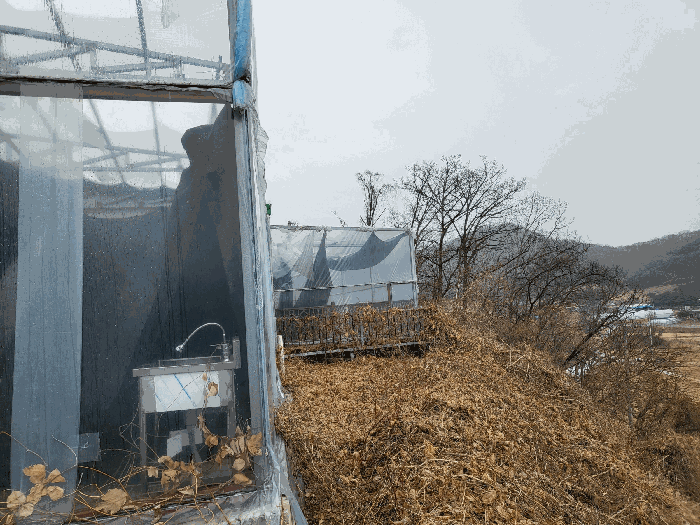 경기도 연천군 군남면 왕림리 459-6 외 4필지 공장 경매 사진 18