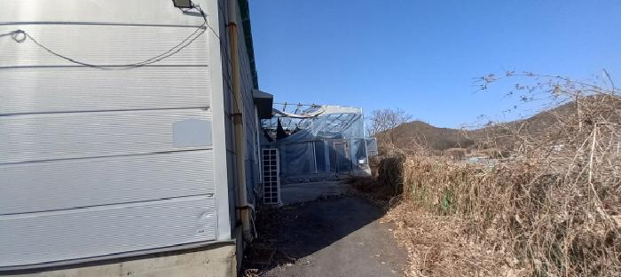 경기도 연천군 군남면 왕림리 459-6 외 4필지 공장 경매 사진 3