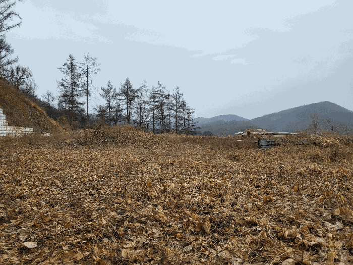 경기도 연천군 군남면 왕림리 459-6 외 4필지 공장 경매 사진 22