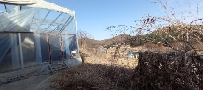 경기도 연천군 군남면 왕림리 459-6 외 4필지 공장 경매 사진 4