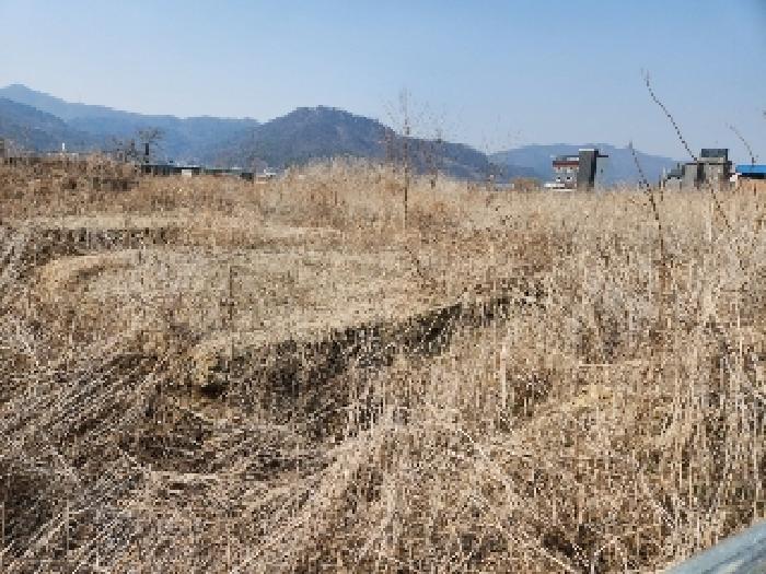경기도 동두천시 상봉암동 140-29 외 11필지 대지 경매 사진 21