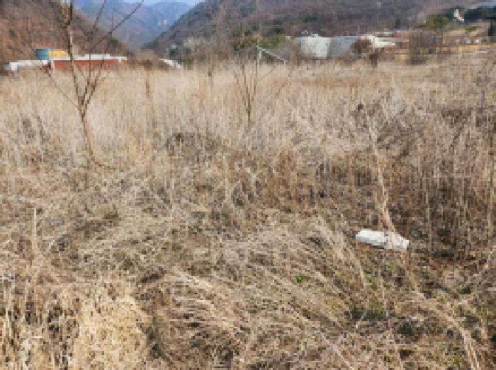 경기도 동두천시 상봉암동 140-29 외 11필지 대지 경매 사진 4