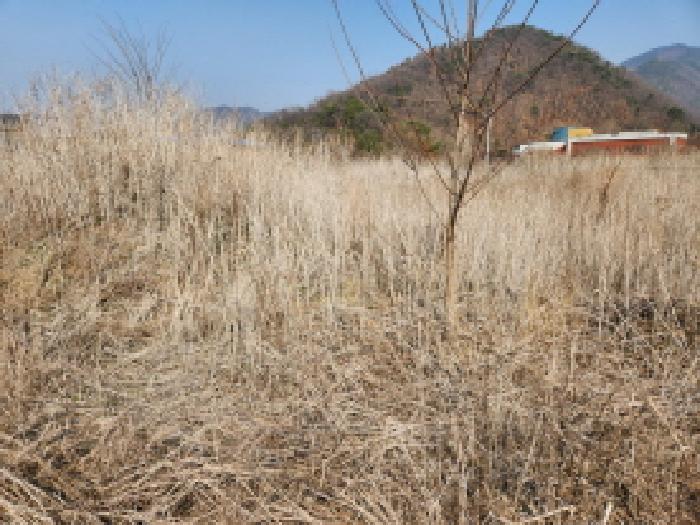 경기도 동두천시 상봉암동 140-29 외 11필지 대지 경매 사진 8
