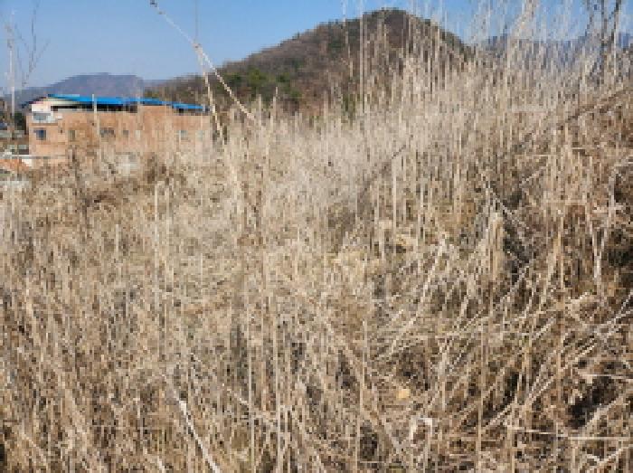 경기도 동두천시 상봉암동 140-29 외 11필지 대지 경매 사진 10