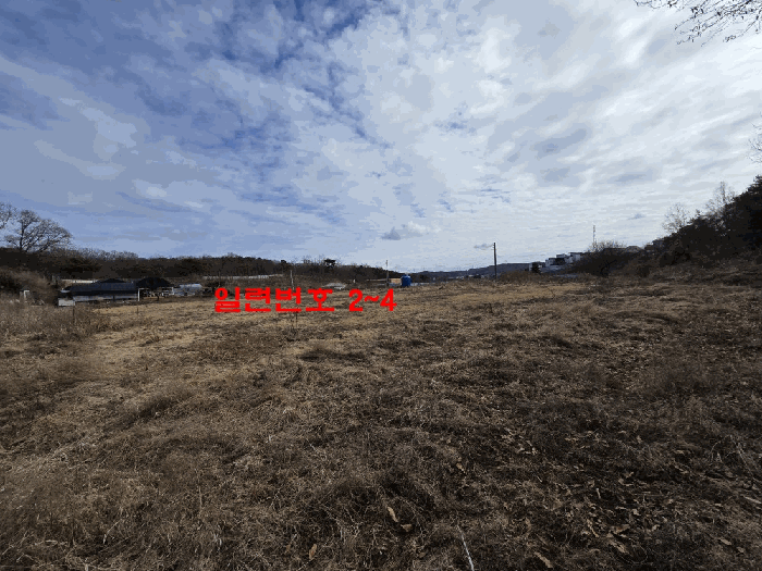 경기도 파주시 문산읍 당동리 704-1 외 3필지 전 경매 사진 13