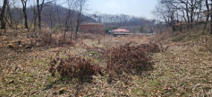 경기도 파주시 탄현면 축현리 631-1 전 경매 사진 17