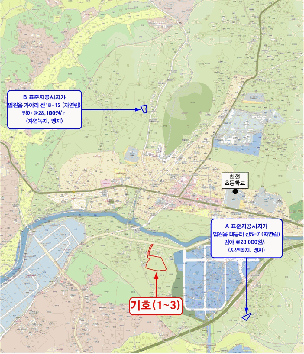 경기도 파주시 법원읍 대능리 218-40 외 2필지 도로 경매 사진 14