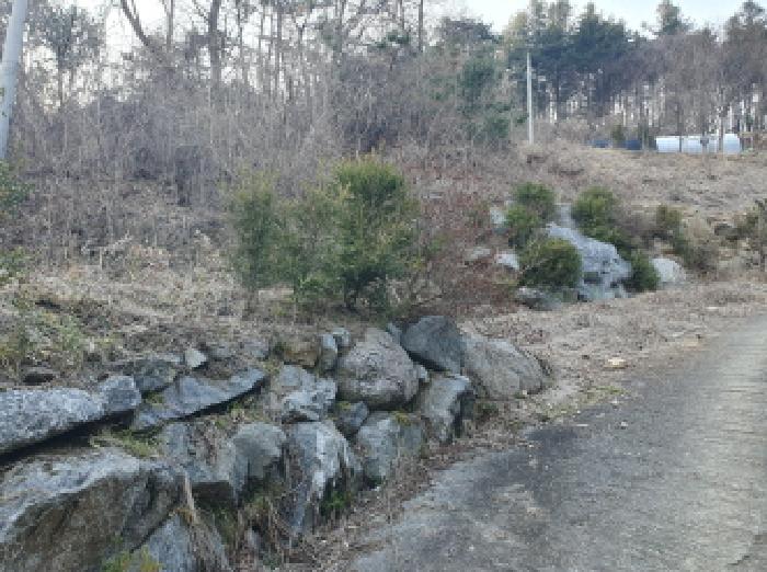경기도 가평군 조종면 신상리 516-1 외 4필지 동물및식물관련시설 경매 사진 13