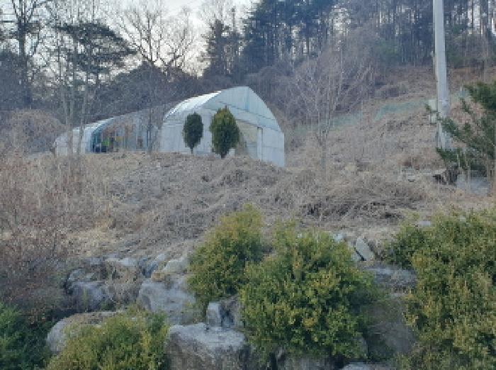 경기도 가평군 조종면 신상리 516-1 외 4필지 동물및식물관련시설 경매 사진 14
