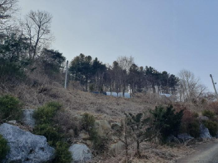 경기도 가평군 조종면 신상리 516-1 외 4필지 동물및식물관련시설 경매 사진 15
