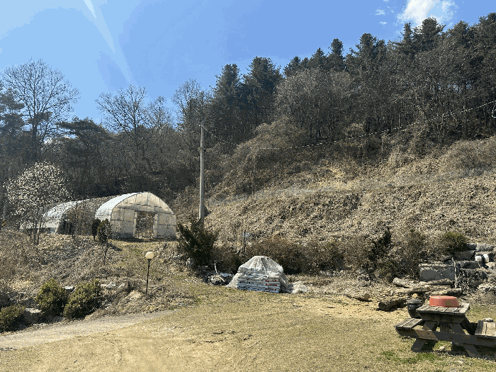 경기도 가평군 조종면 신상리 516-1 외 4필지 동물및식물관련시설 경매 사진 24