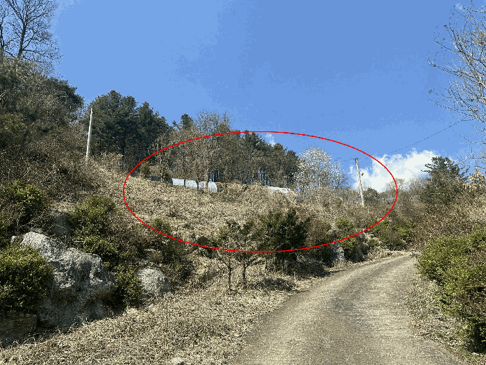 경기도 가평군 조종면 신상리 516-1 외 4필지 동물및식물관련시설 경매 사진 27