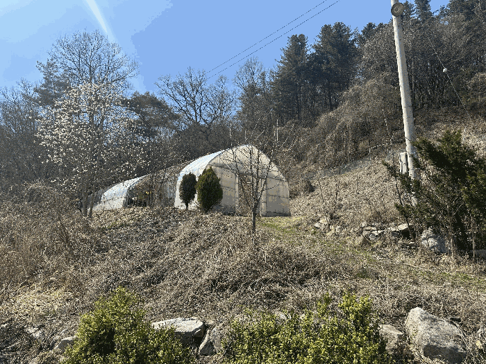 경기도 가평군 조종면 신상리 516-1 외 4필지 동물및식물관련시설 경매 사진 30