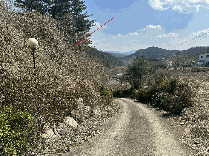 경기도 가평군 조종면 신상리 516-1 외 4필지 동물및식물관련시설 경매 사진 33