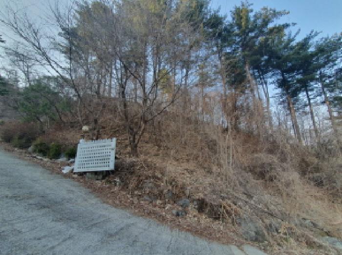 경기도 가평군 조종면 신상리 516-1 외 4필지 동물및식물관련시설 경매 사진 7