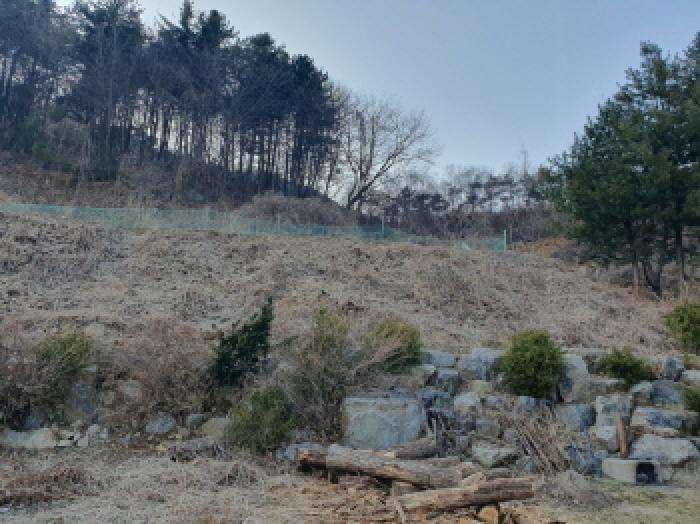 경기도 가평군 조종면 신상리 516-1 외 4필지 동물및식물관련시설 경매 사진 10