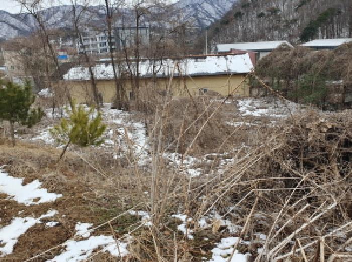 경기도 남양주시 화도읍 구암리 232-6 전 경매 사진 1