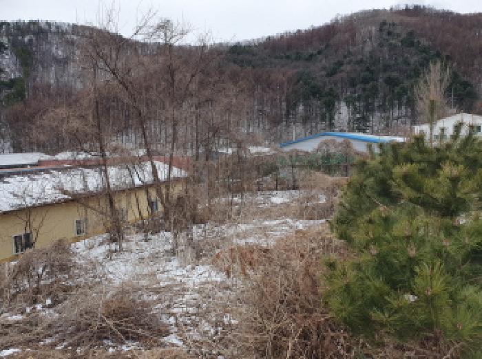 경기도 남양주시 화도읍 구암리 232-6 전 경매 사진 3