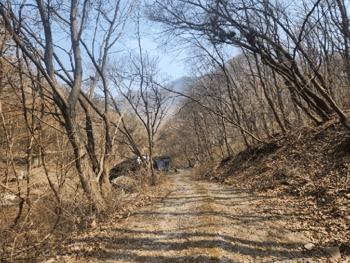 경기도 남양주시 와부읍 월문리 36 외 1필지 임야 경매 사진 12