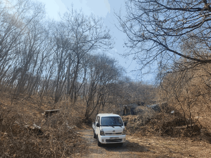 경기도 남양주시 와부읍 월문리 36 외 1필지 임야 경매 사진 14
