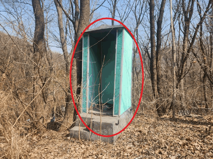 경기도 남양주시 와부읍 월문리 36 외 1필지 임야 경매 사진 17