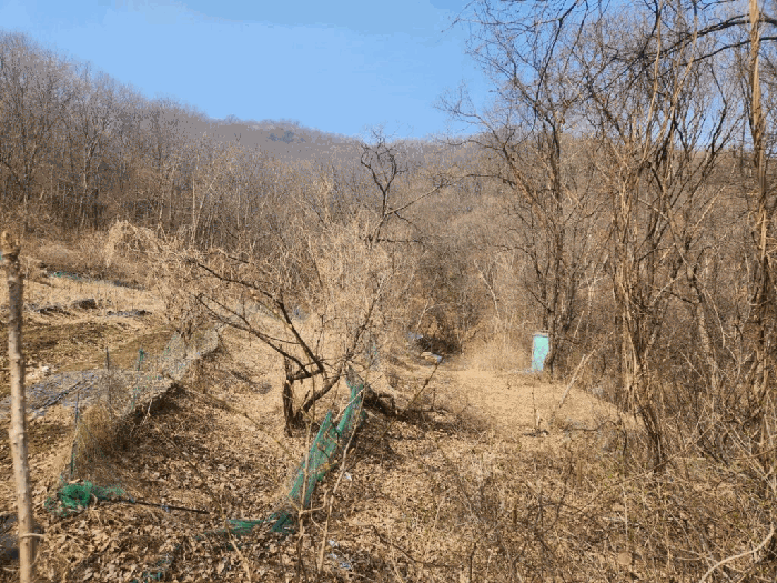 경기도 남양주시 와부읍 월문리 36 외 1필지 임야 경매 사진 18