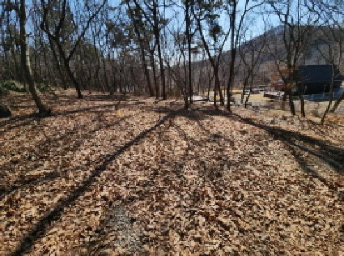 인천광역시 중구 운북동 385-3 외 3필지 임야 경매 사진 14