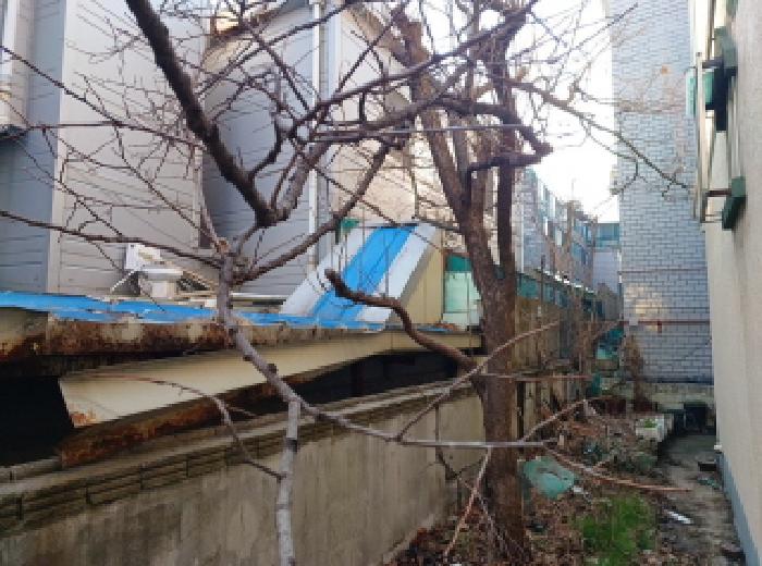 인천광역시 미추홀구 문학동 386-7 외 1필지 근린생활시설 경매 사진 2