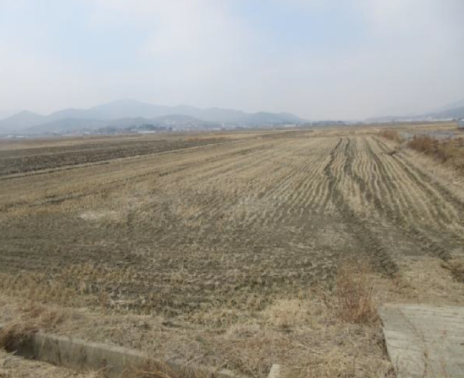 인천광역시 강화군 송해면 신당리 1045-5 외 1필지 답 경매 사진 1