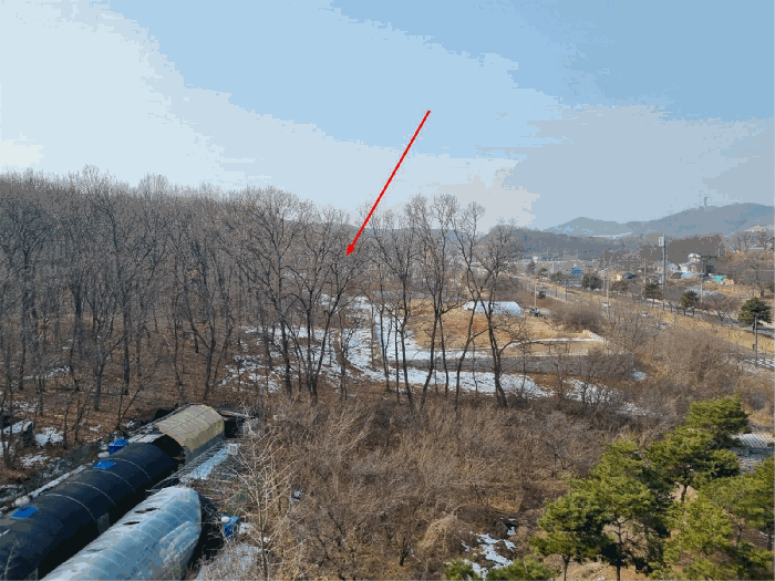 인천광역시 중구 운남동 2-9 외 28필지 임야 경매 사진 41