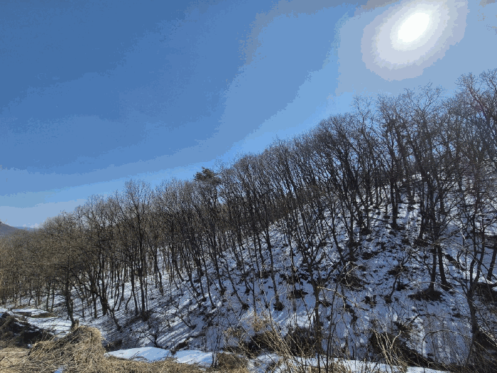 경기도 용인시 처인구 백암면 석천리 산40-5 외 1필지 임야 경매 사진 6