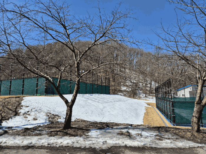경기도 용인시 처인구 백암면 석천리 산40-5 외 1필지 임야 경매 사진 7