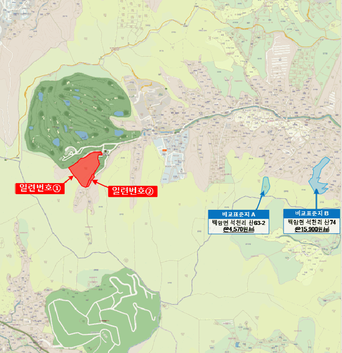 경기도 용인시 처인구 백암면 석천리 산40-5 외 1필지 임야 경매 사진 10
