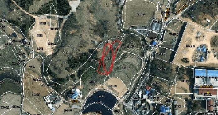 경기도 화성시 남양읍 활초리 202 전 경매 사진 3
