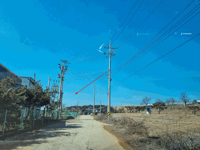 경기도 화성시 장안면 금의리 440-2 외 1필지 근린생활시설 경매 사진 8