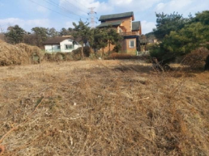 경기도 용인시 기흥구 하갈동 77-1 외 7필지 근린생활시설 경매 사진 1