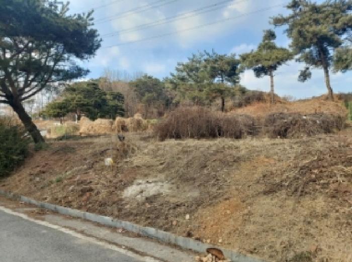 경기도 용인시 기흥구 하갈동 77-1 외 7필지 근린생활시설 경매 사진 2