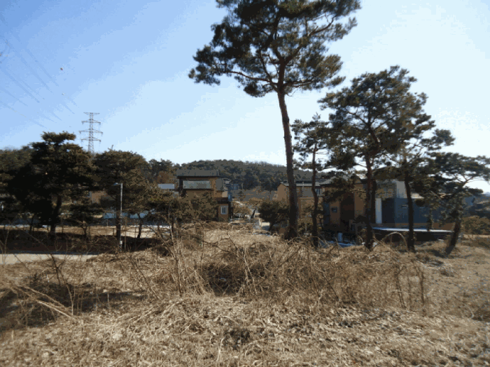 경기도 용인시 기흥구 하갈동 77-1 외 7필지 근린생활시설 경매 사진 13