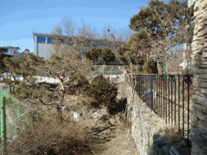 경기도 용인시 기흥구 하갈동 77-1 외 7필지 근린생활시설 경매 사진 19